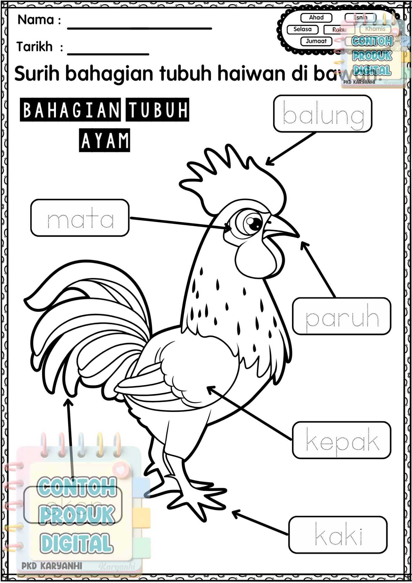 BBM Minggu 23 & 24 Haiwan Jinak KaryaNHI