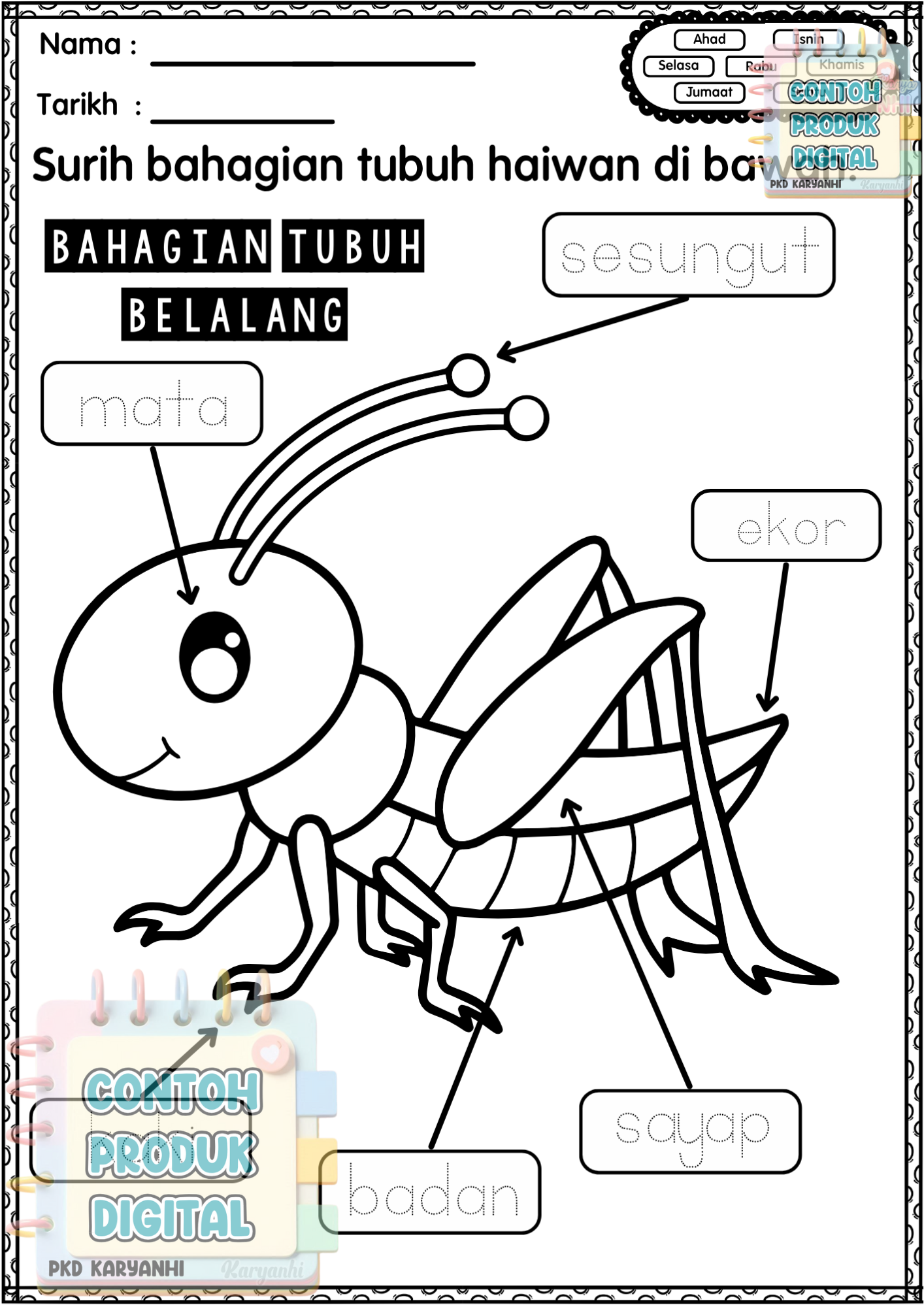 BBM Minggu 26 Haiwan Keci KaryaNHI