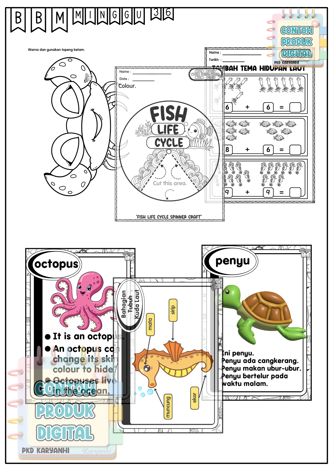 BBM Minggu 36 Haiwan Akuatik KaryaNHI