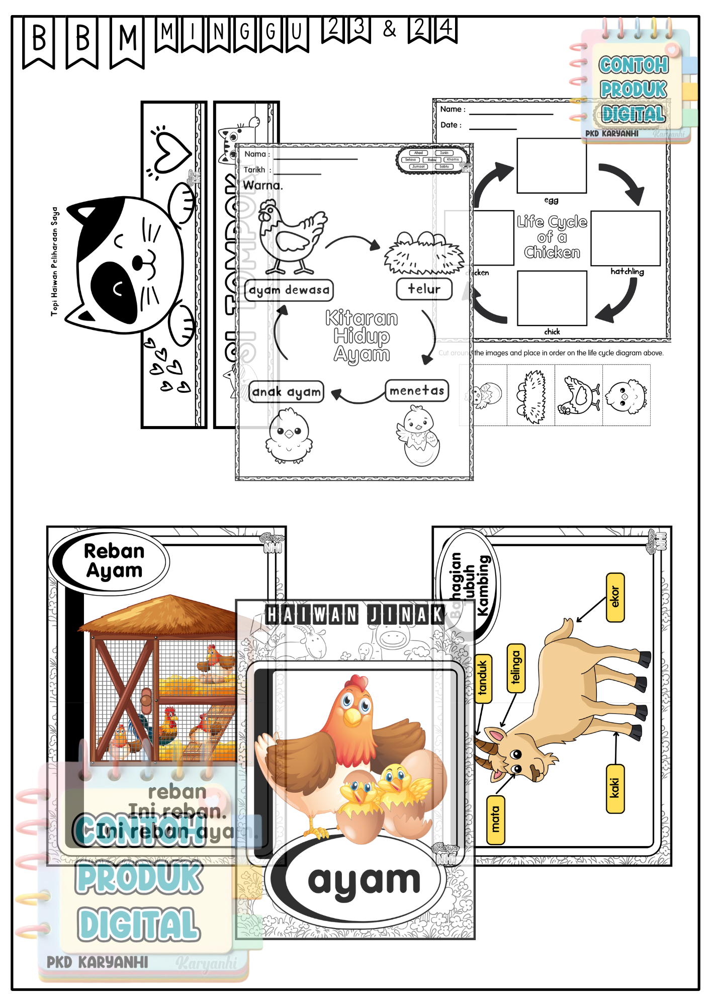 BBM Minggu 23 & 24 Haiwan Jinak KaryaNHI