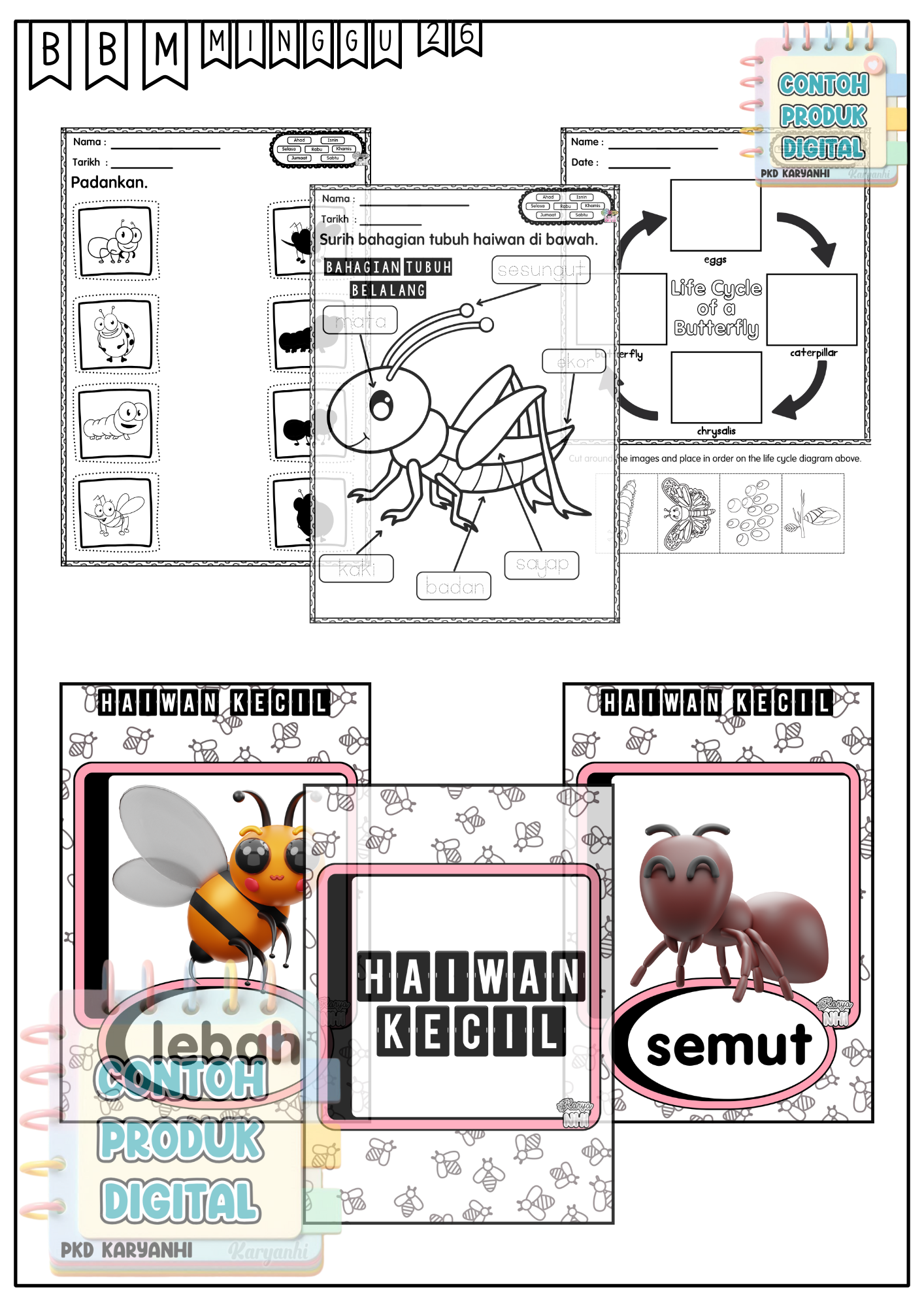 BBM Minggu 26 Haiwan Keci KaryaNHI