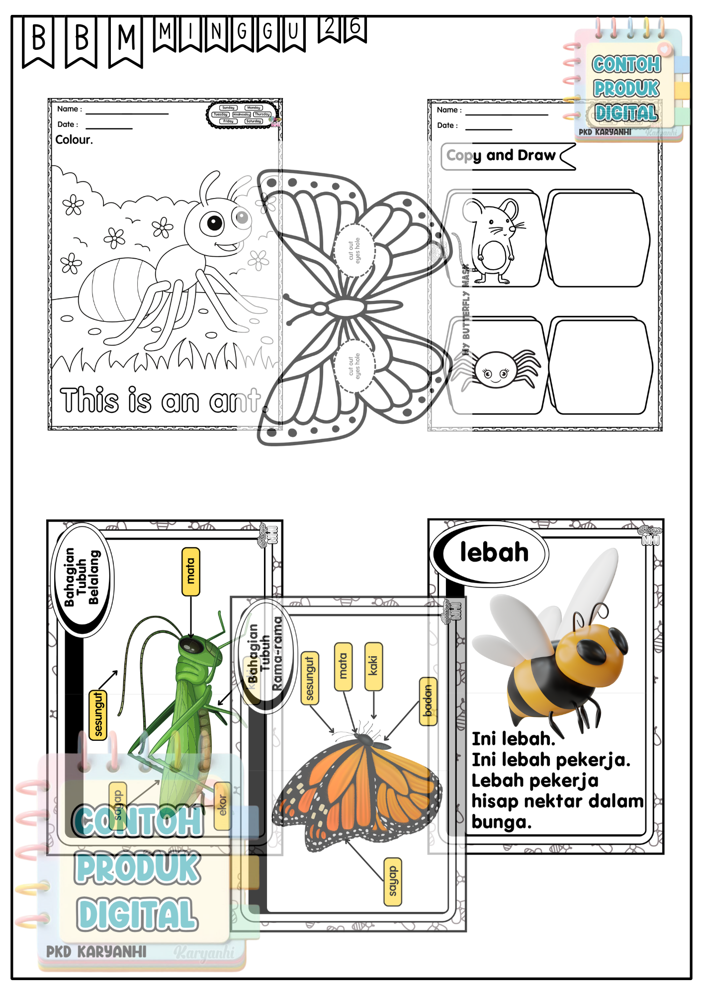 BBM Minggu 26 Haiwan Keci KaryaNHI