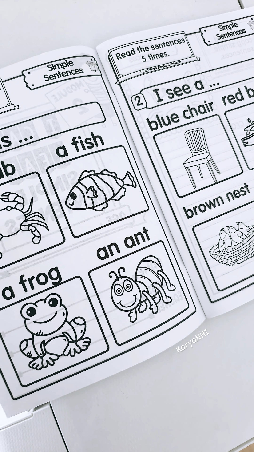 I Can Read Simple Sentences (Module 2)