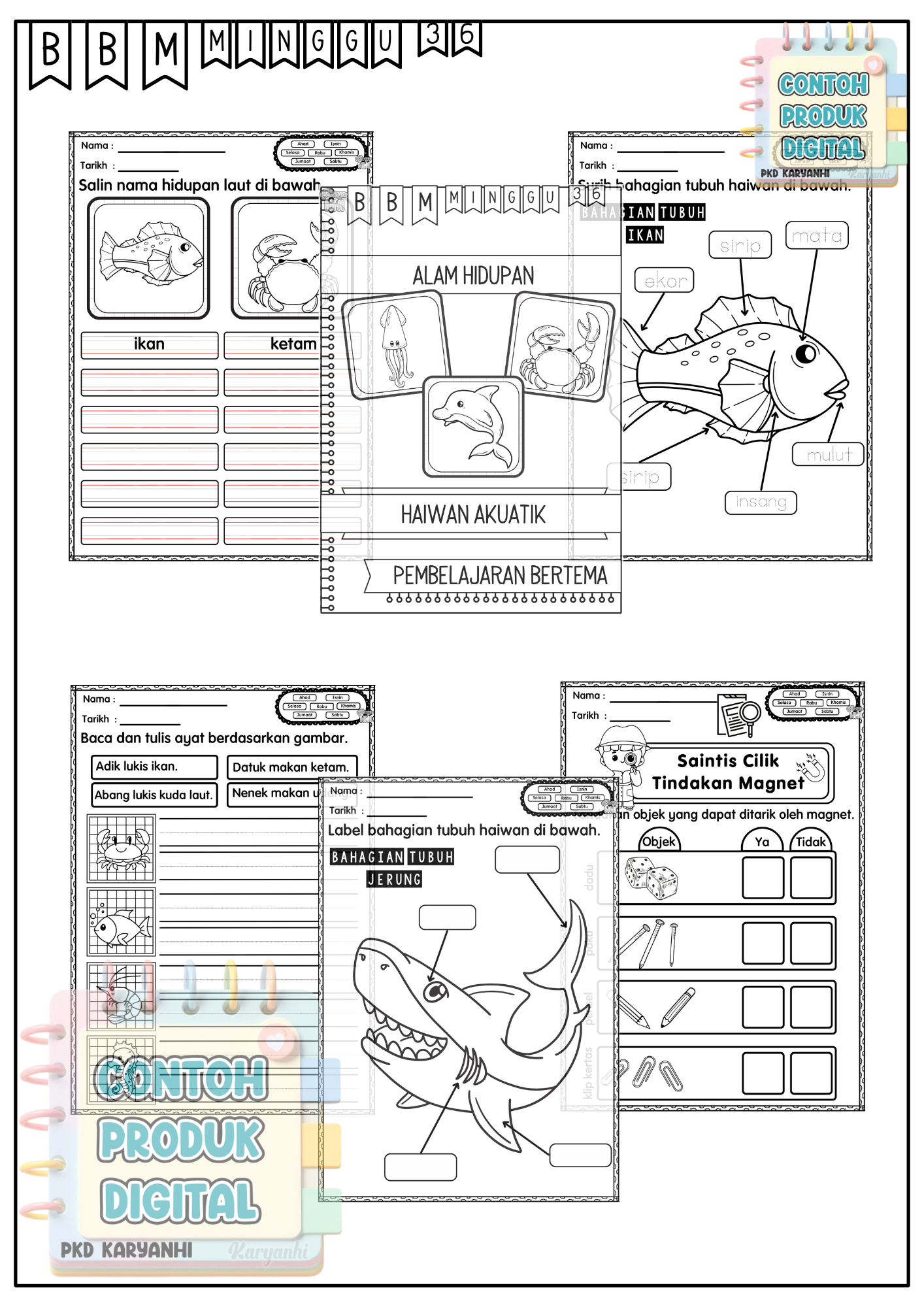 BBM Minggu 36 Haiwan Akuatik KaryaNHI