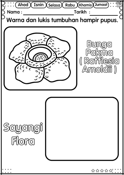 BBM Minggu 17 Tumbuh-tumbuhan